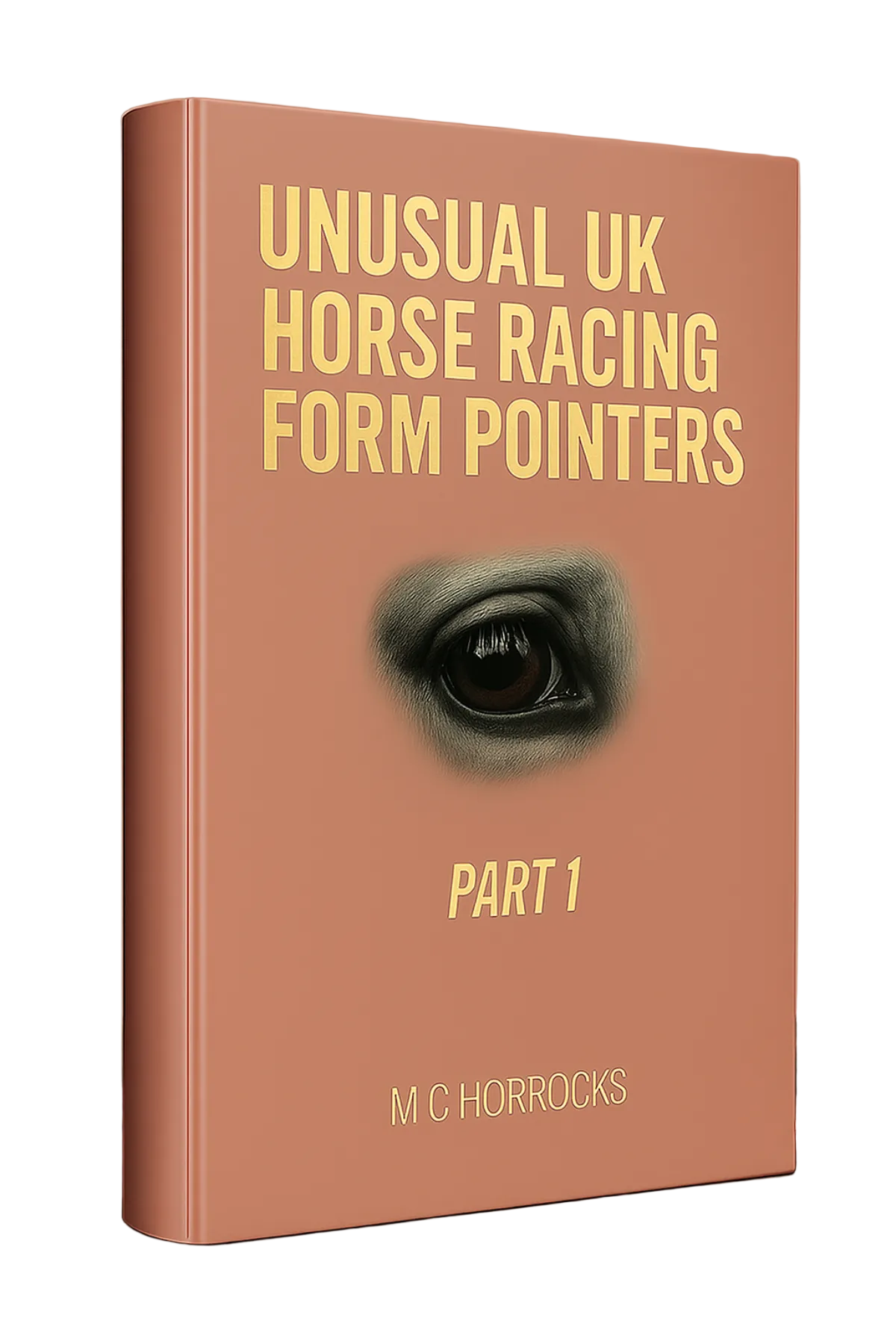 Unusual UK Horse Racing Form Pointers System