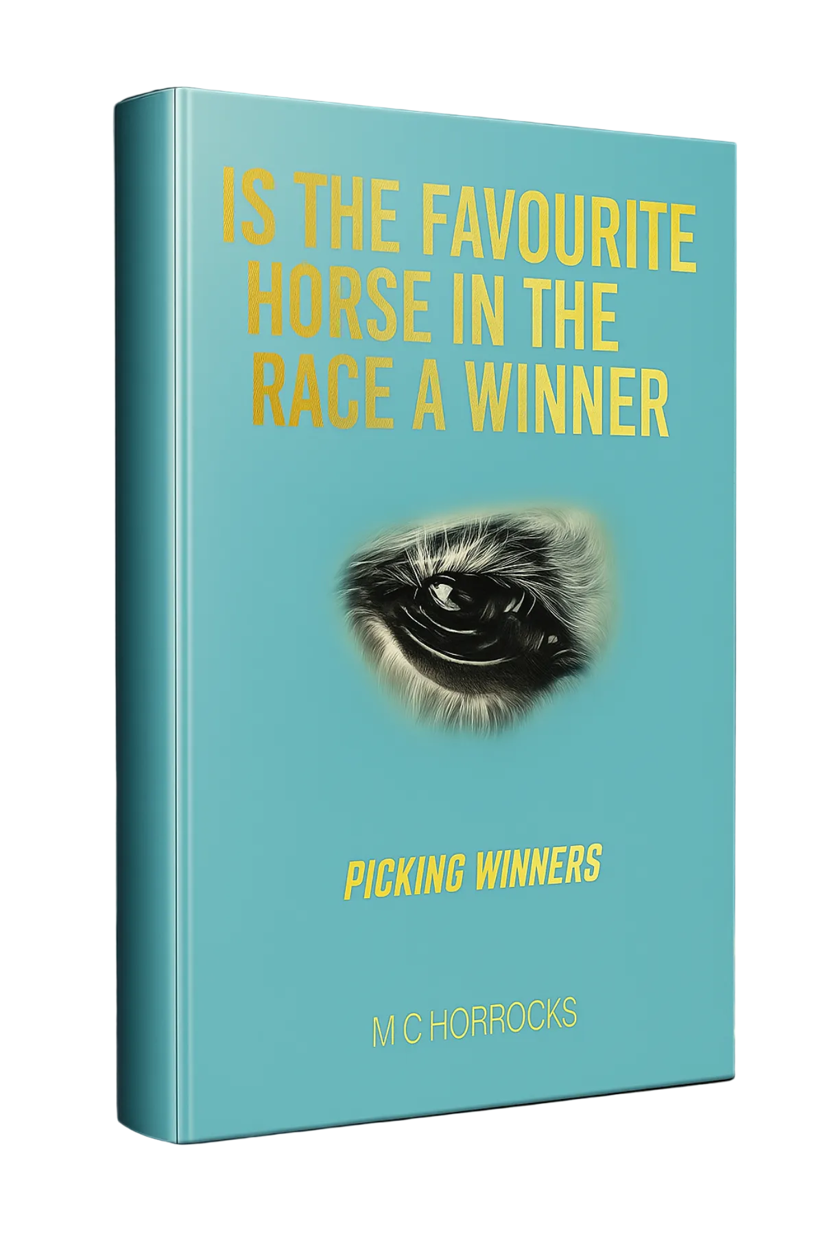 Is The Favourite Horse In The Race A Winner horse racing system