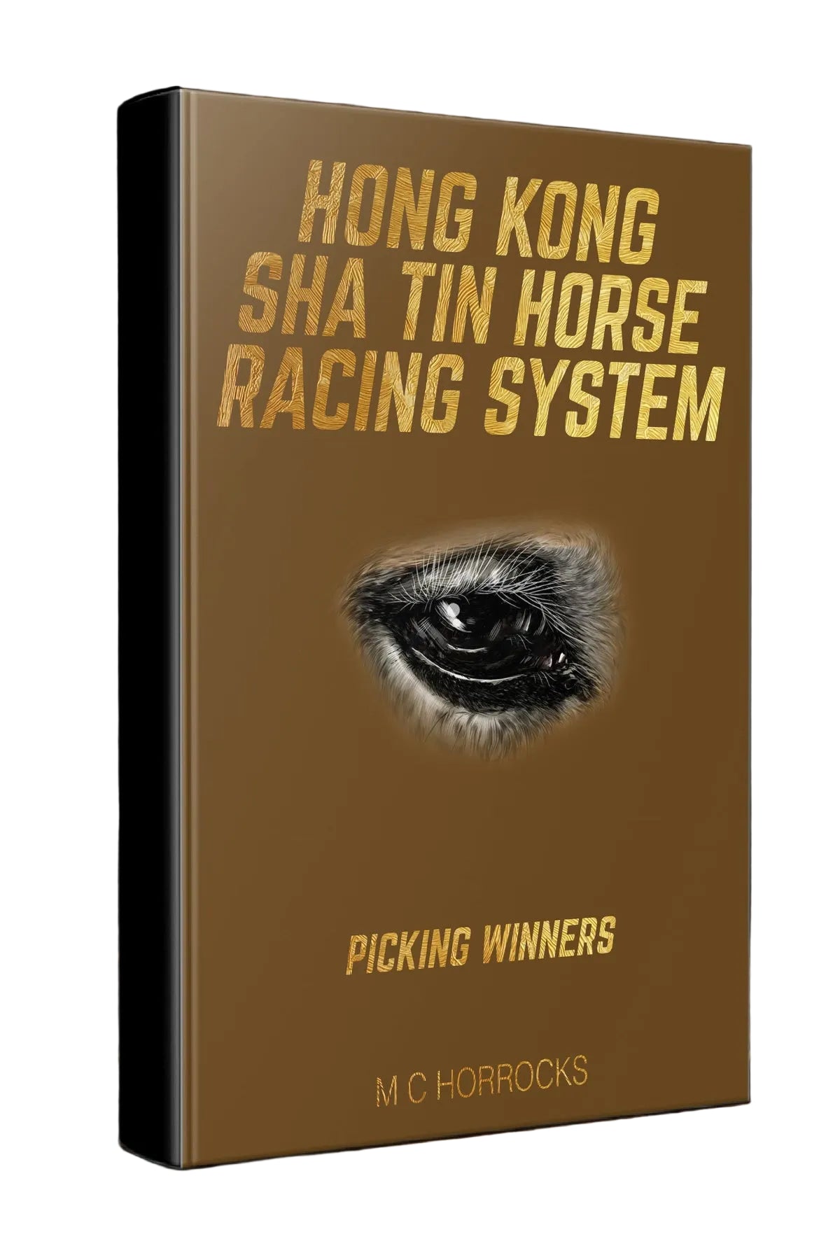 Hong Kong Sha Tin Horse Racing System book