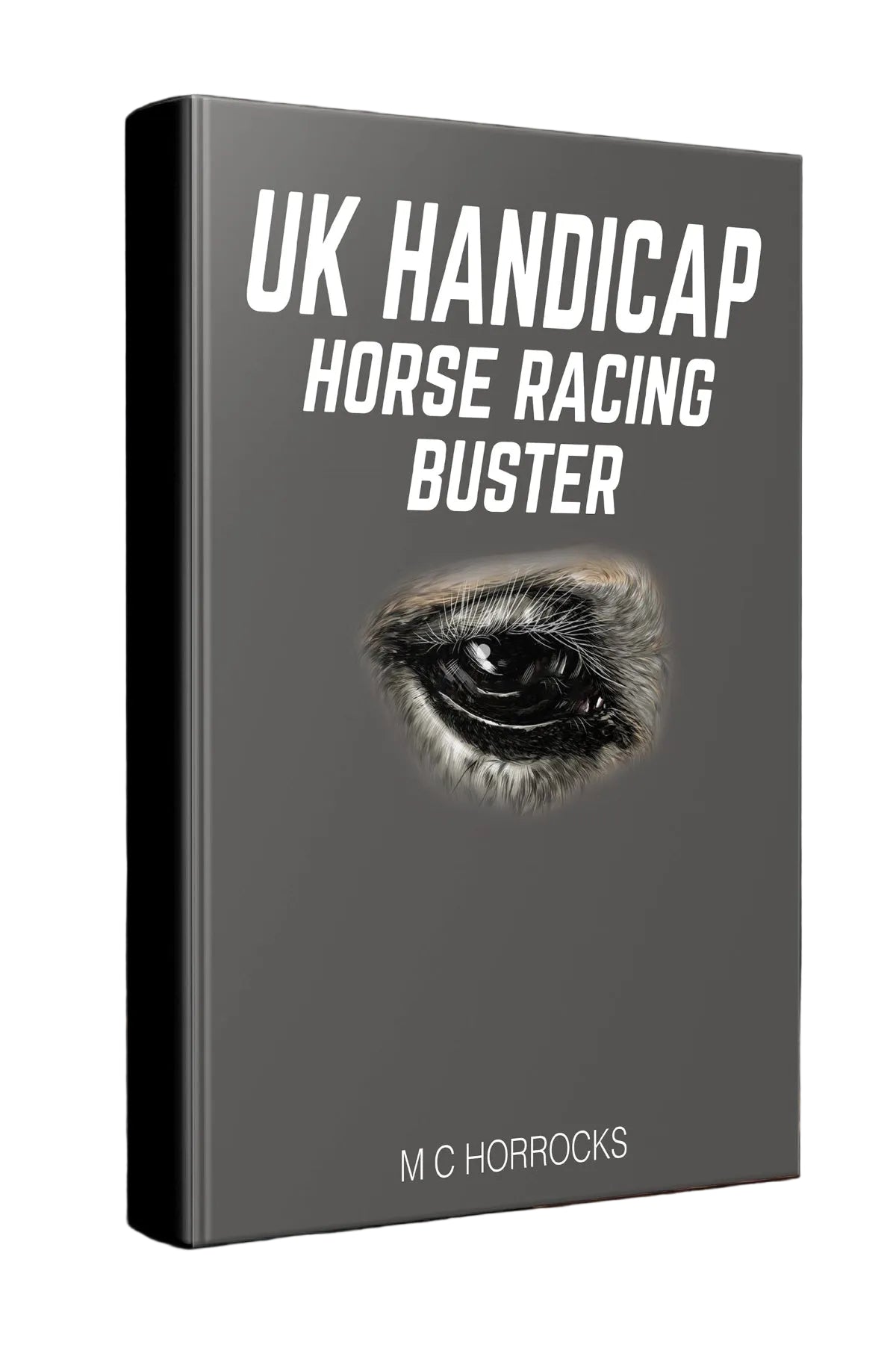 UK Handicap Horse Racing Buster System