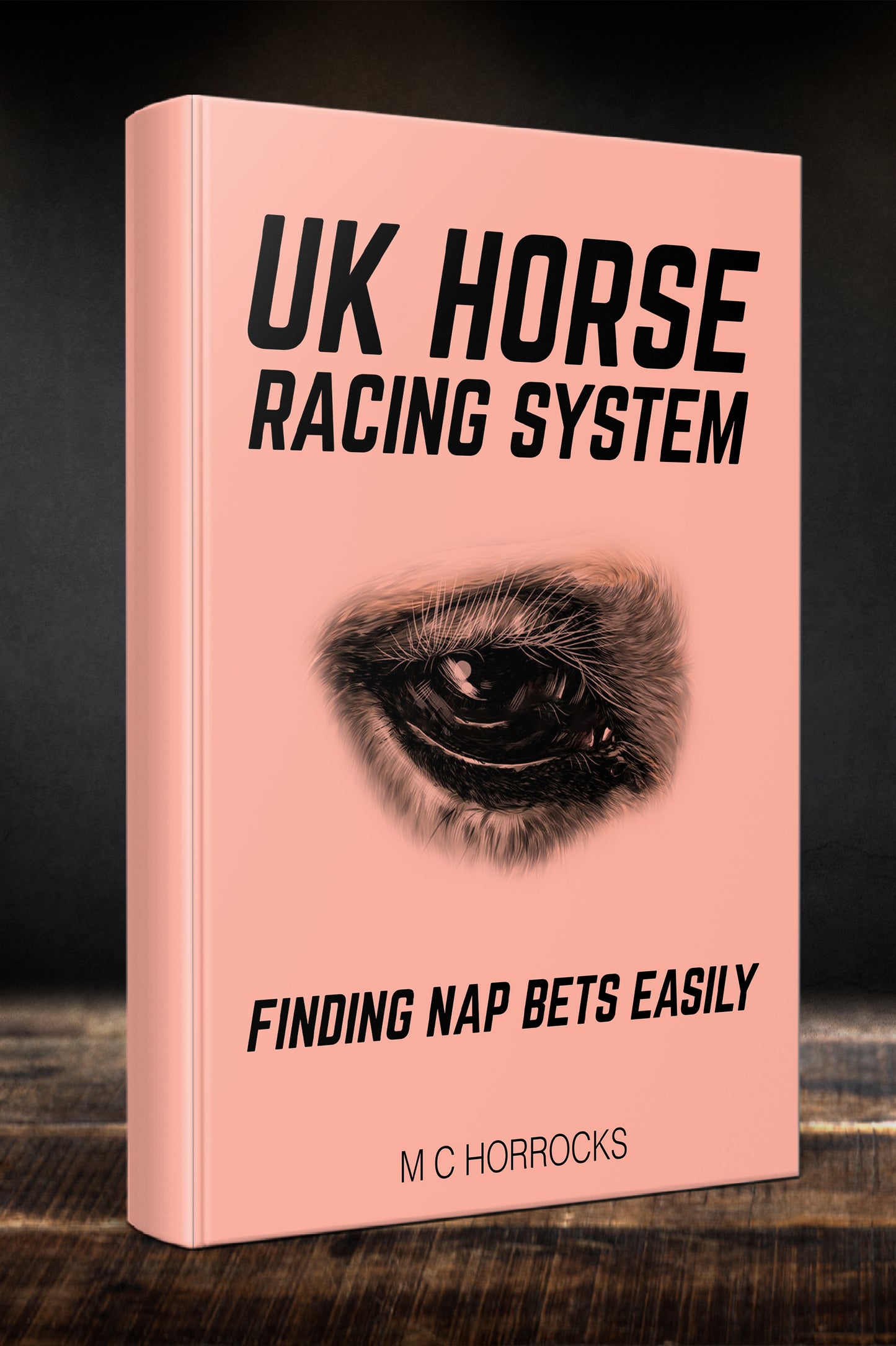 Non Handicap Horse Races Betting System