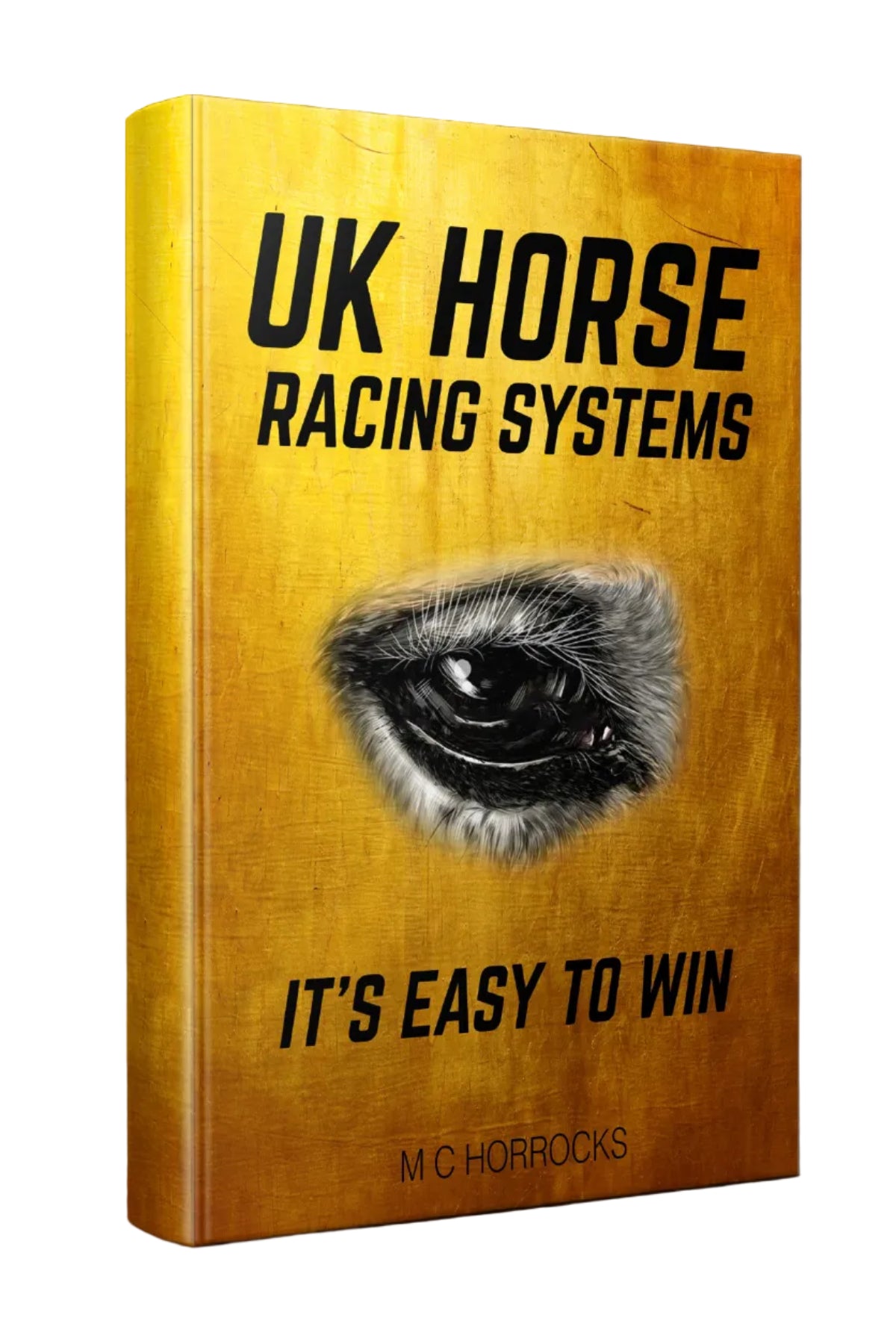 UK Horse Racing Systems - It's Easy To Win