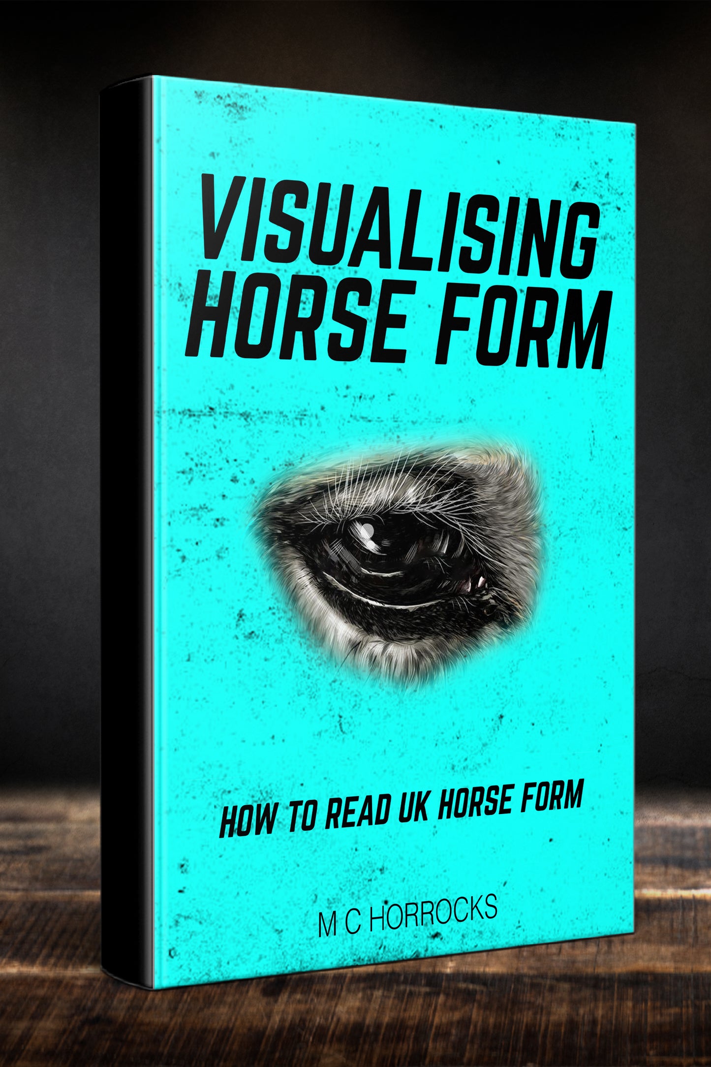 Visualising UK Daily Horse Form System eBook
