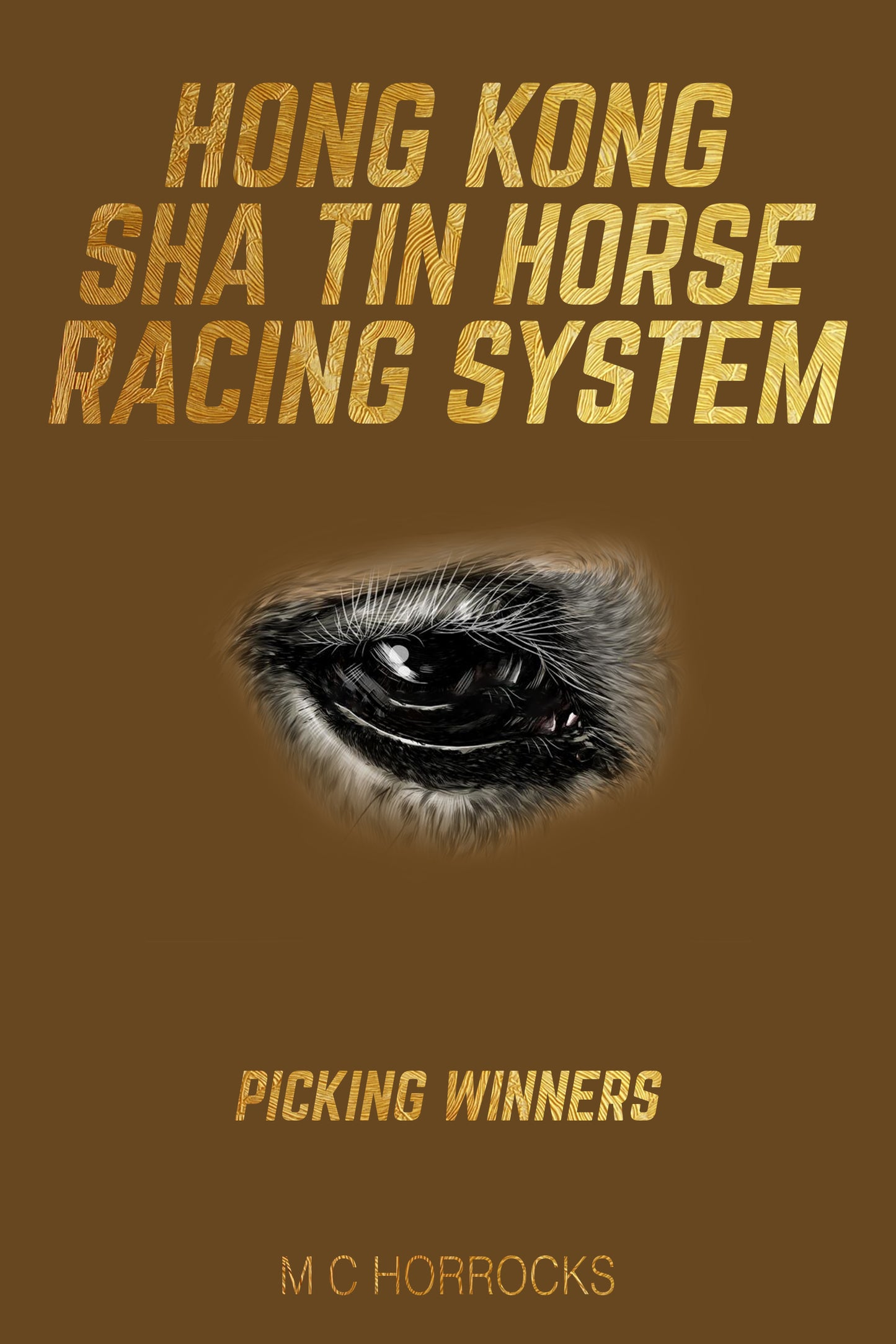 Sha Tin Horse Racing System