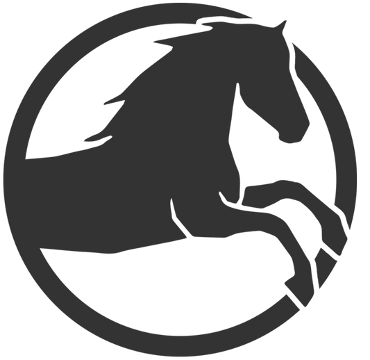 How To Read Horse Form Coaching