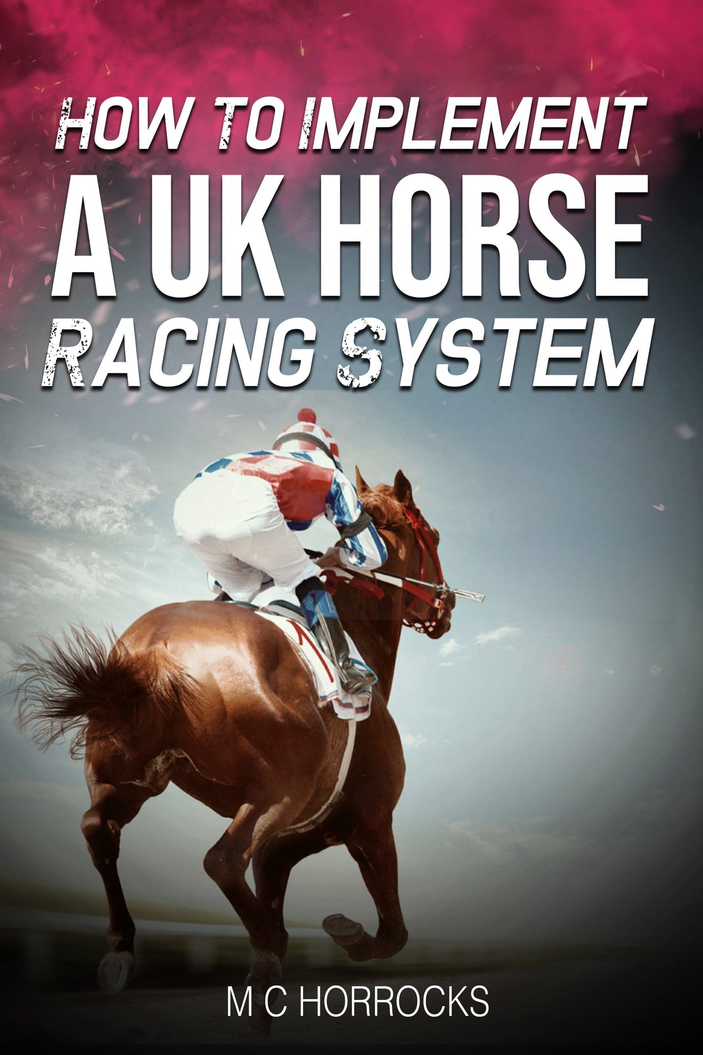 computer based horse race handicapping