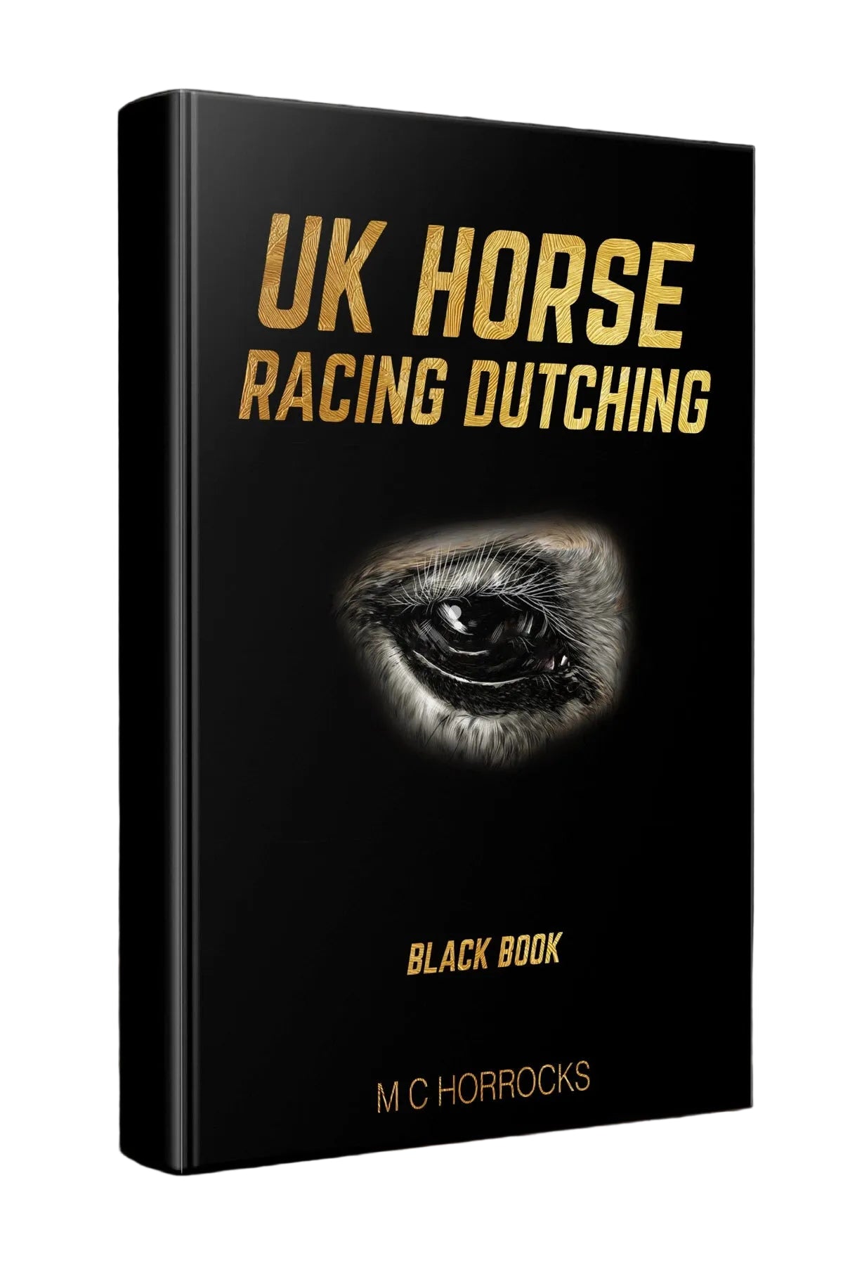 UK Horse Racing Dutching Horse System