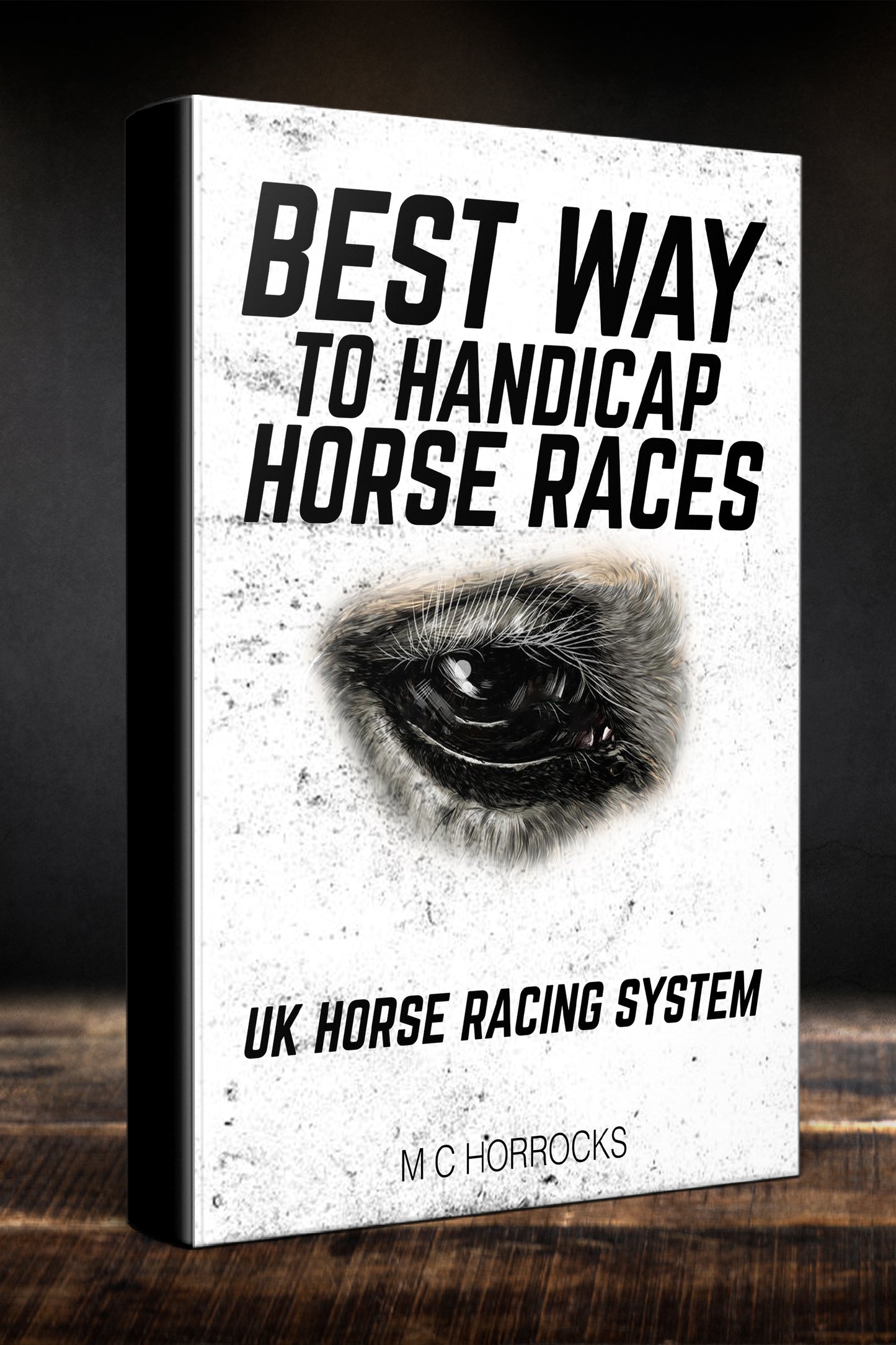 Best Way To Handicap Horse Races Book