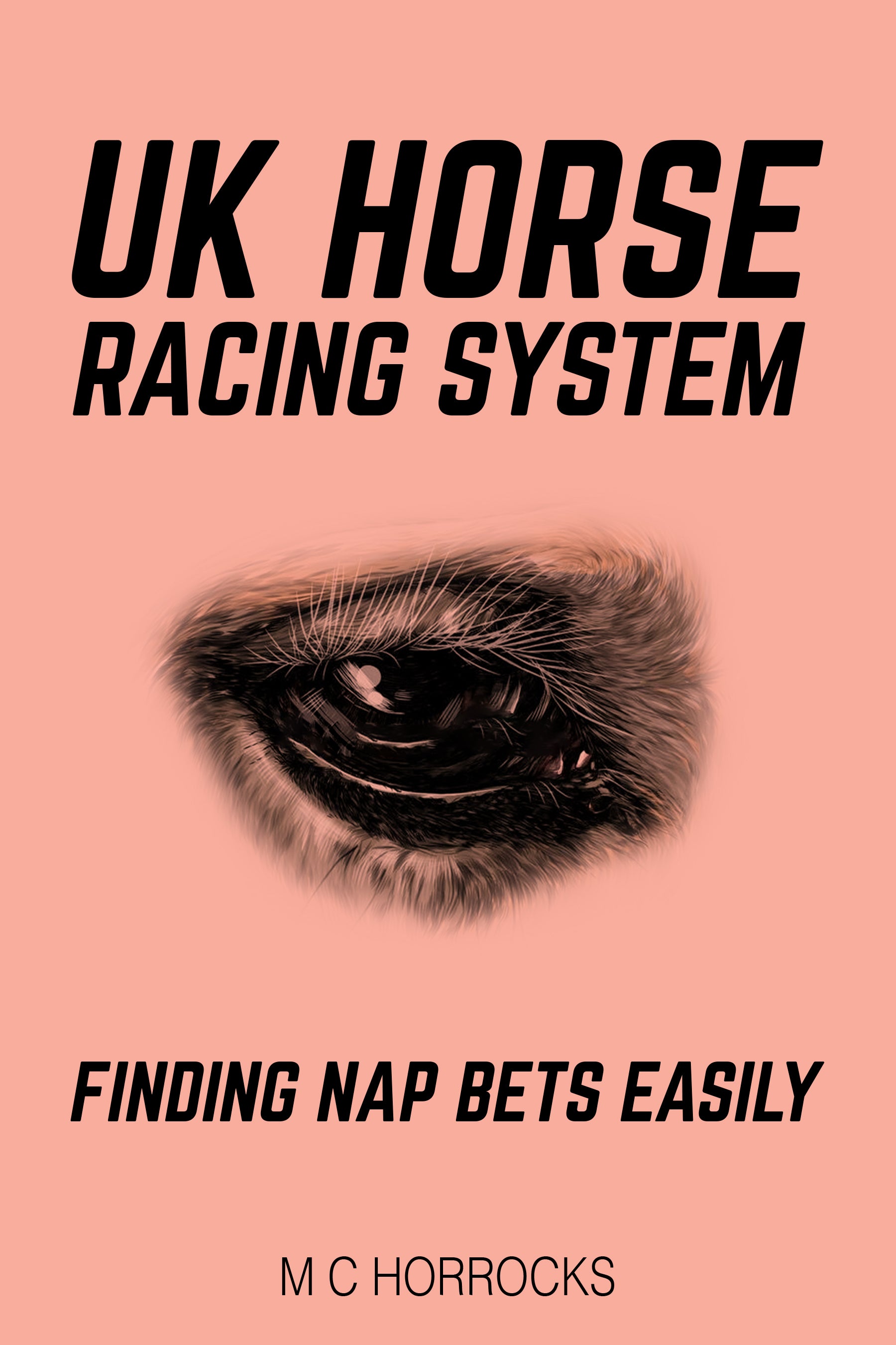 UK Horse Racing System 
