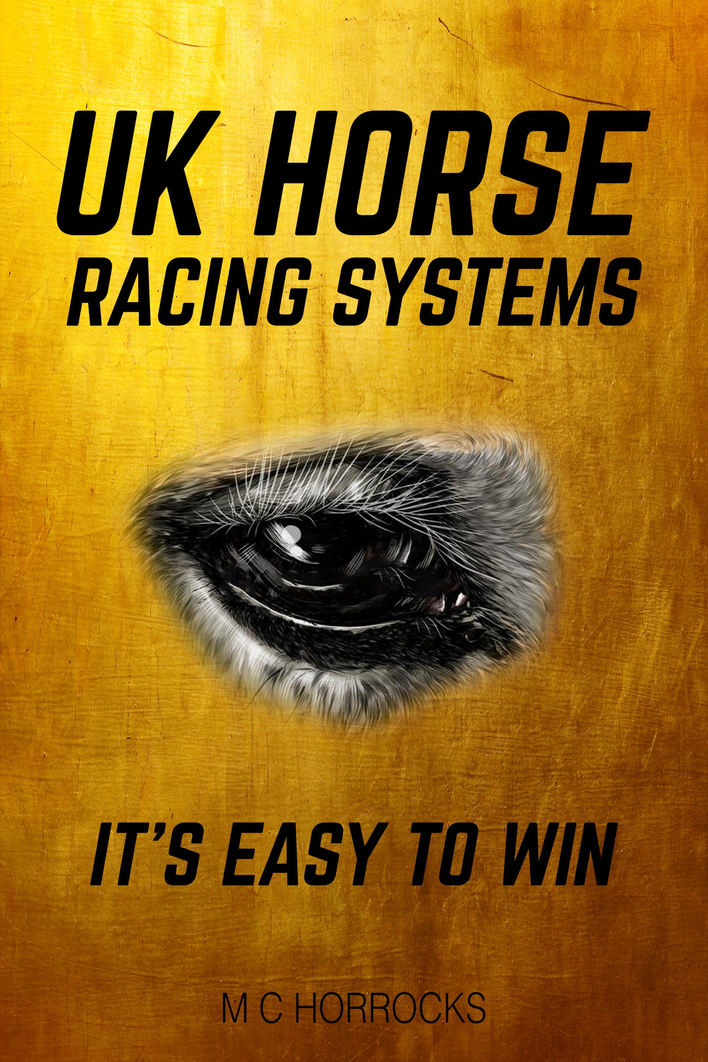 UK Horse Racing Systems - It's Easy To Win Paperback Book