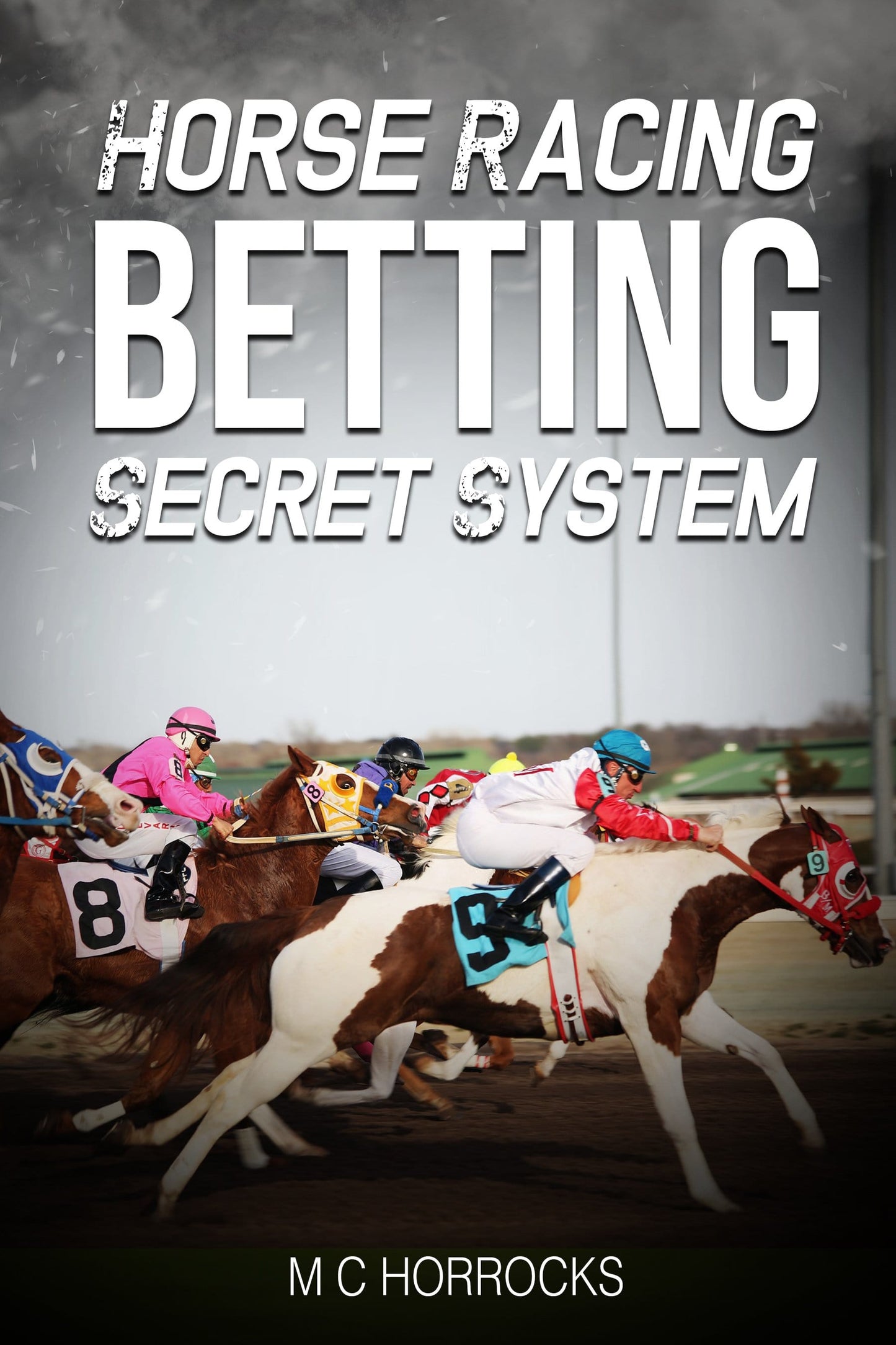secret horse racing system